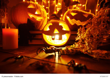 Halloween composition with jack-o-lanterns, spiders, dry herbs and candle